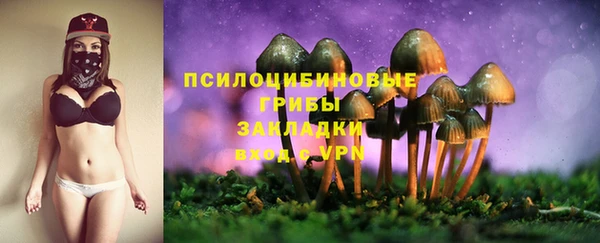 Альфа ПВП Верея