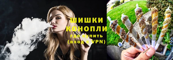 Альфа ПВП Верея