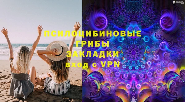 Альфа ПВП Верея