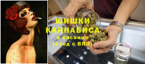 Альфа ПВП Верея